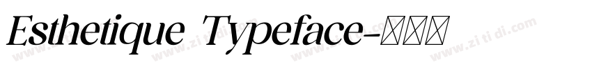 Esthetique Typeface字体转换